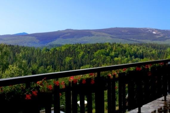 Zloty Widok Bed and Breakfast Podgórzyn Εξωτερικό φωτογραφία